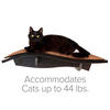 Arf Pets Wall-Mounted Wooden Cat Perch Shelf, PK 2 APCP2PCK